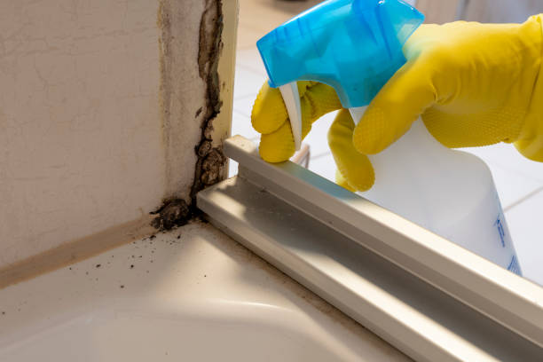 Best Emergency Mold Removal  in Fredericktown, MO