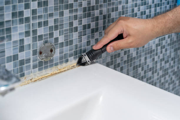 Best Mold Removal Near Me  in Fredericktown, MO